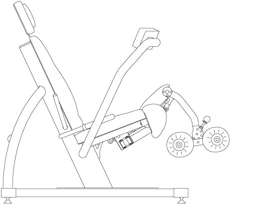 LEG EXTENSION ‹› LEG CURL